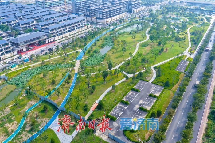 寄情水岸绿意 白泉生态景观廊道重塑城市滨水画卷