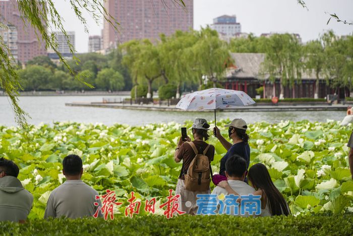 一年四季 泉在济南 