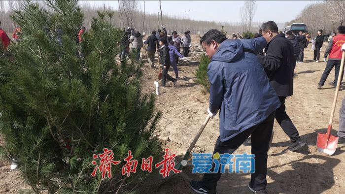 济南市开展校友林植树活动