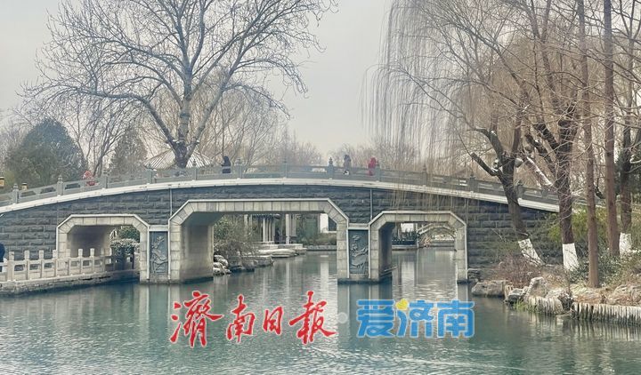 一年四季 泉在济南丨大明湖雪后如墨 冬日绘就水墨丹青