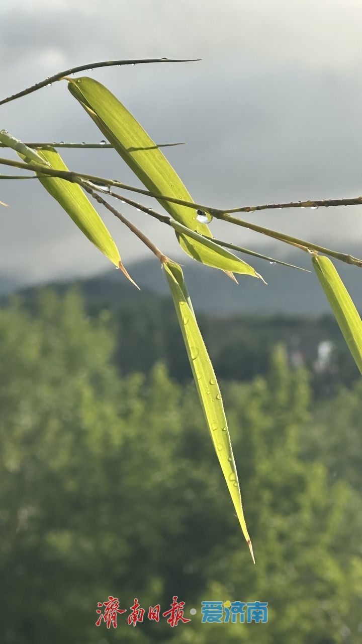 一年四季 泉在济南丨雨后莱芜 大舟山与大朱山现梦幻美景