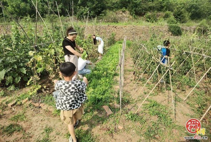 “这里是章丘！”—垛庄篇