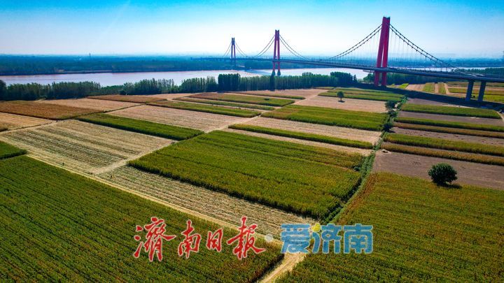 良田绘秋色 丰收正当时