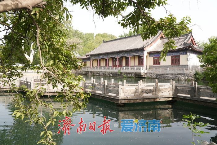 一年四季·泉在济南｜春日珍珠泉焕新颜，泉韵醉人引客来