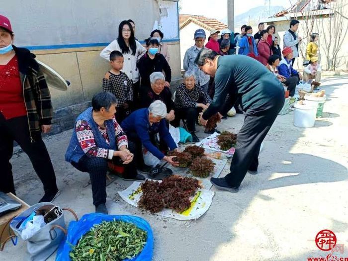 章丘宣讲带您走进舌尖上的“椿”天