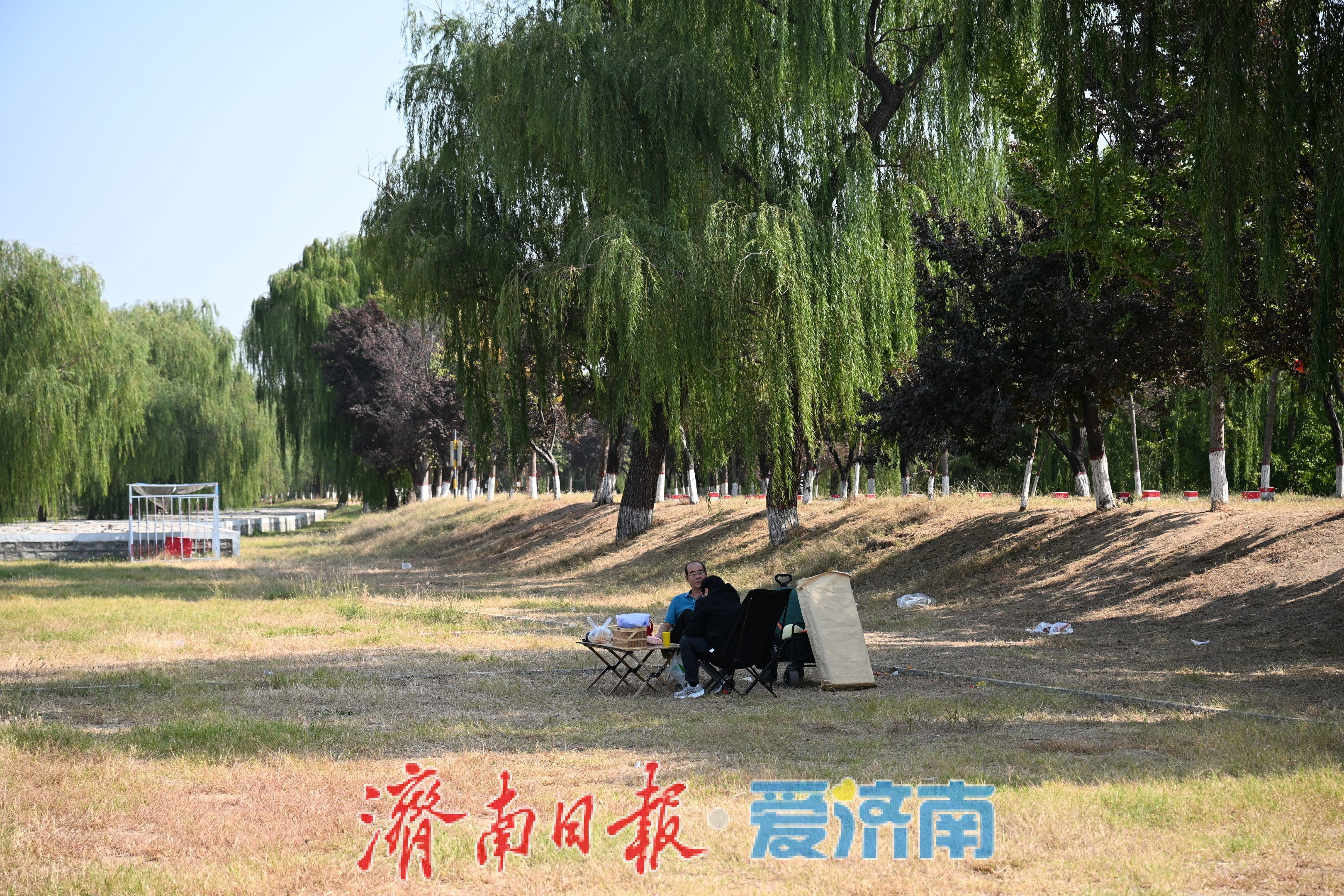 一年四季 泉在济南丨秋韵满黄河，露营引人流 黄河沿岸成休闲新地标