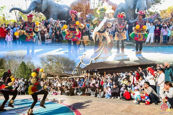 济南野生动物世界特色活动上线！第七届马戏嘉年华重磅来袭萌趣与欢乐双拉满