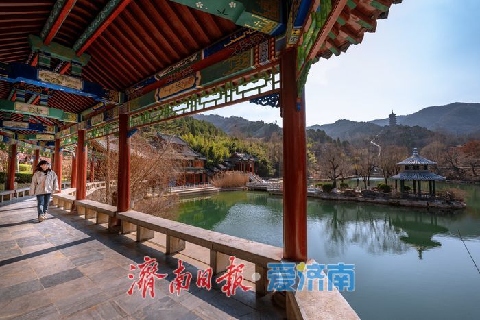 万株梅花次第开，红叶谷第18届梅花节诗意启幕