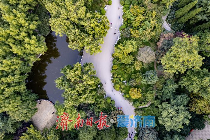 秋意正浓！百花公园披上“五彩霓裳”