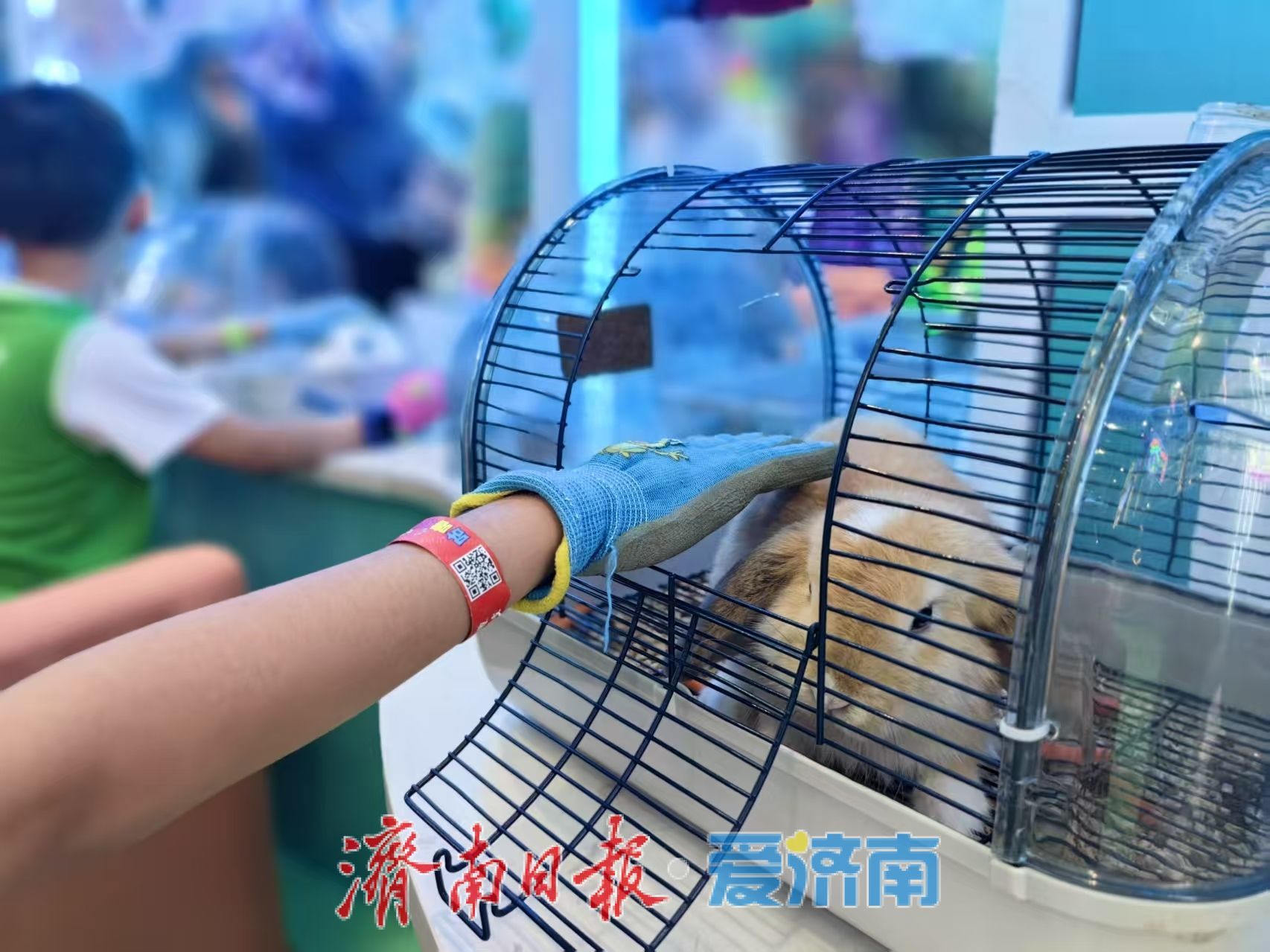 一年四季·泉在济南 