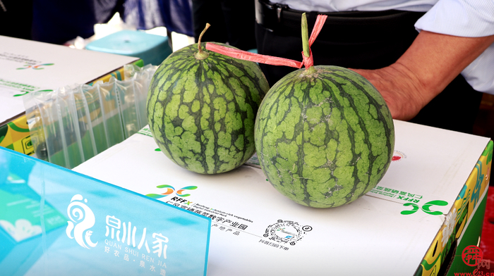尝第一口鲜甜!济南仁风、太平宝西瓜领衔泉水人家“西瓜宴”