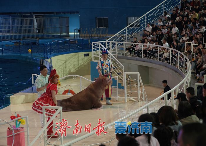 “五一”假期，海洋馆文旅消费持续走俏