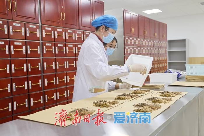 项目强省会｜广安门医院济南医院医学中心院区启动试运行