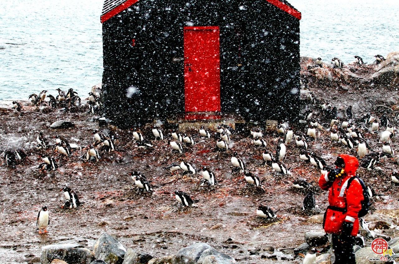 侯贺良8探南极数智影像大展在山东博物馆开展