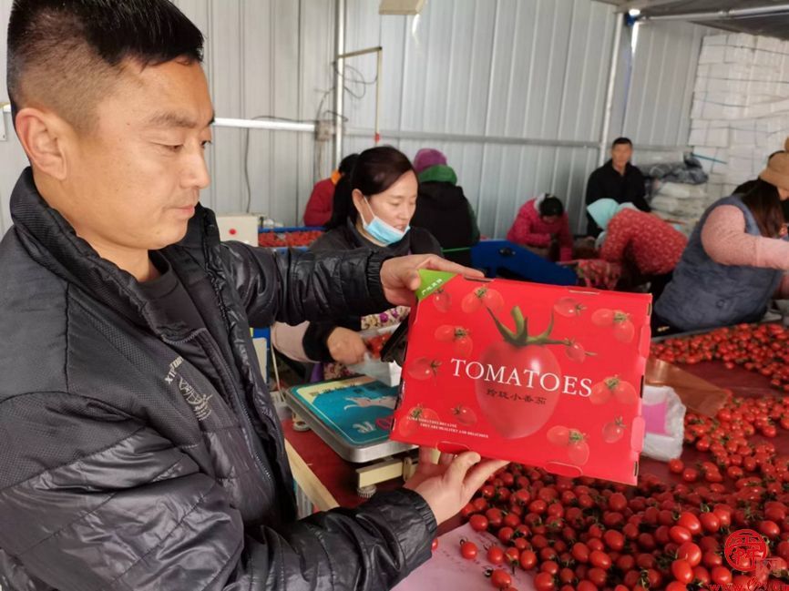 济阳区新市镇史家寺村玲珑果产销两旺