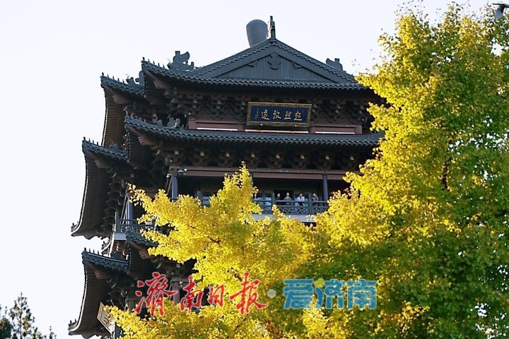 一年四季 泉在济南丨明湖藏翠色 晚秋入画卷