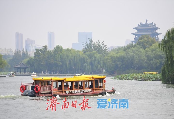 一年四季 泉在济南丨漫步青石板，徜徉大明湖，市民游客沉浸式体验泉城慢时光