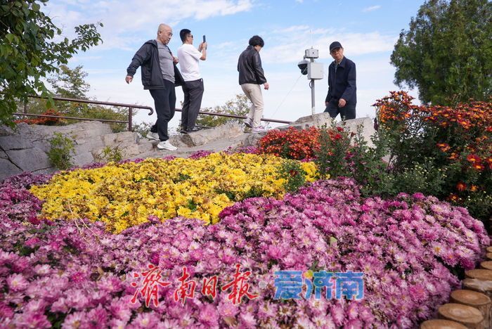 登历山极顶 览泉城新卷 千佛山城市观景平台全新亮相
