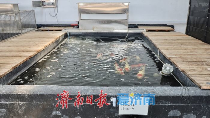 济南这个“网红村”，凭什么逆袭？