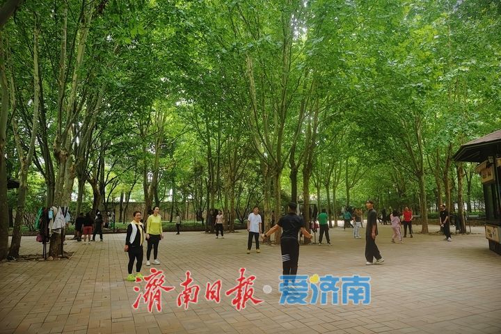 一年四季 泉在济南丨乐享秋日好时光 林间健身展活力