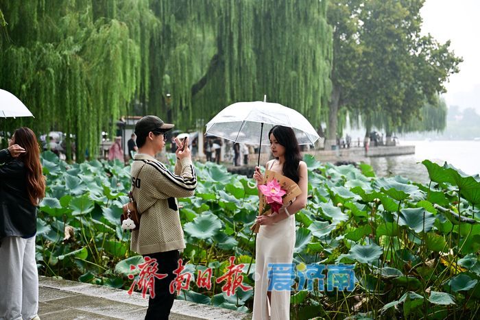 一年四季 泉在济南 