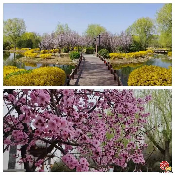 “马”上开花！章丘城区公园赏花地图出炉，开启春日好时光！