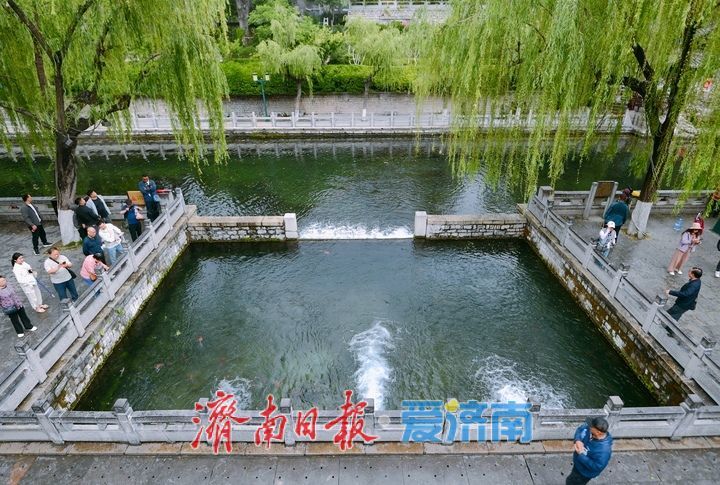 雨助泉涌，济南黑虎泉水位一夜攀升7厘米