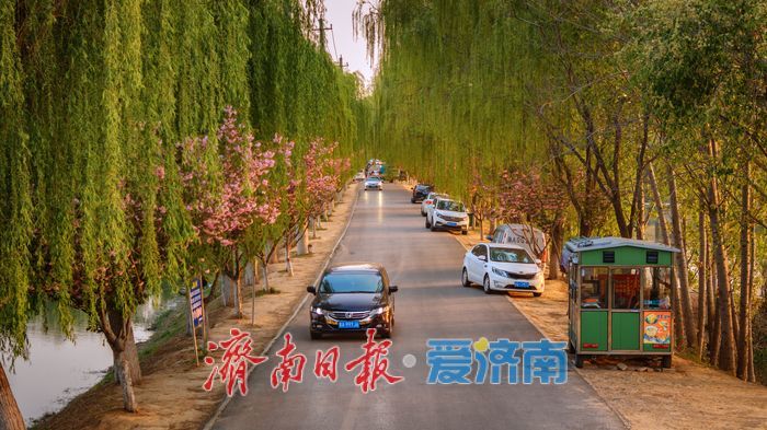 水天一色！济南小清河源头湿地公园邂逅绝美落日