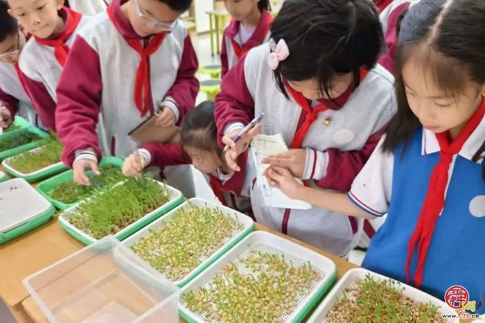 “健康第一”！济南教育在行动~