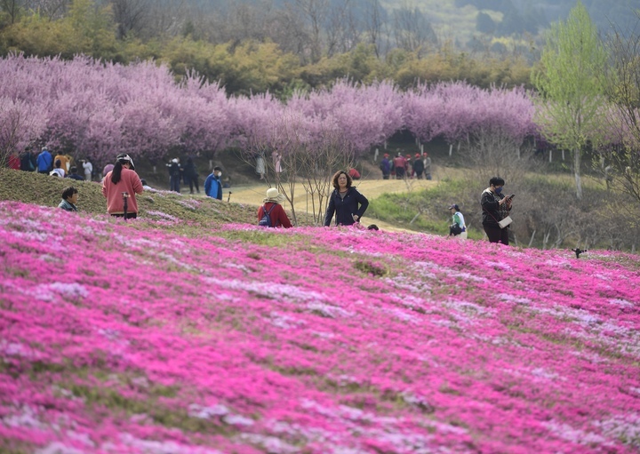 “泉”在济南过五一 