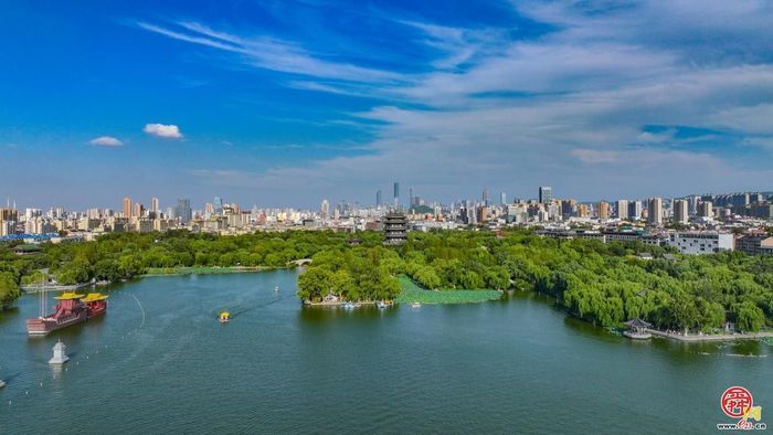 历下：三区协同齐发力，跑出项目赋能“加速度”