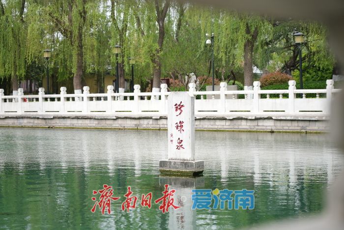 谷雨时节 济南珍珠泉泉涌如珠