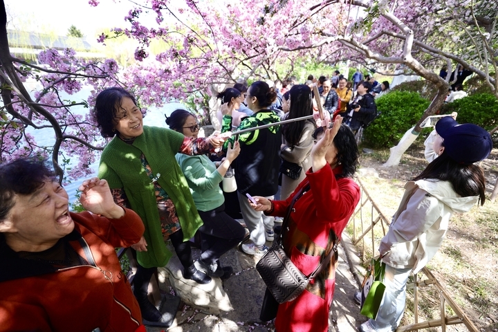 周末畅游花海 享受多彩春天