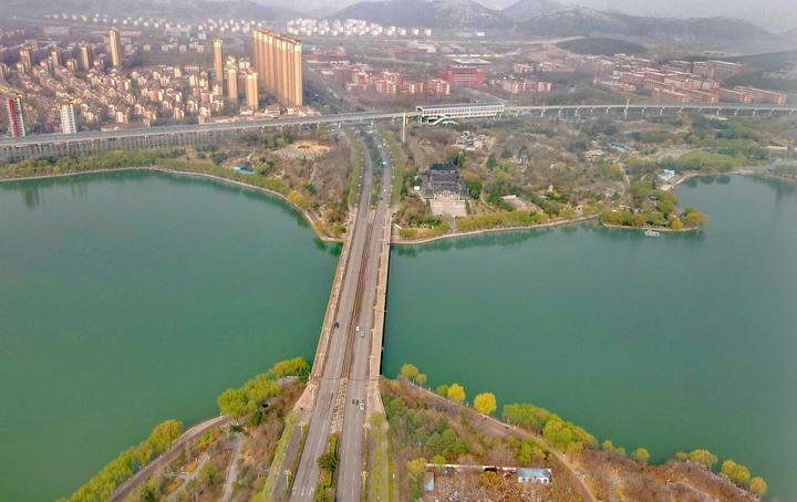 满目青翠 一园春色