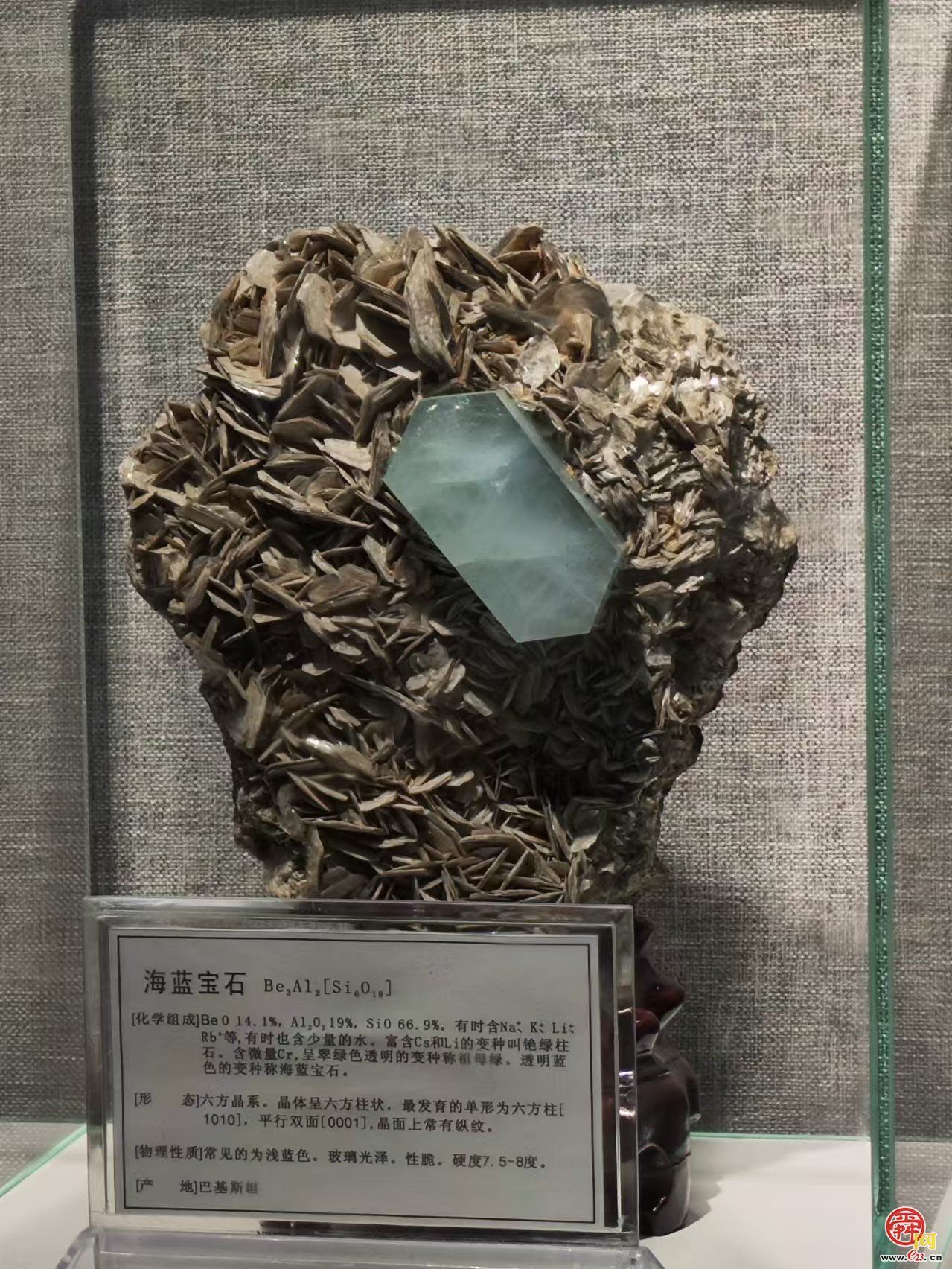 在这里“穿越”亿万年前 走进山东探矿博物馆