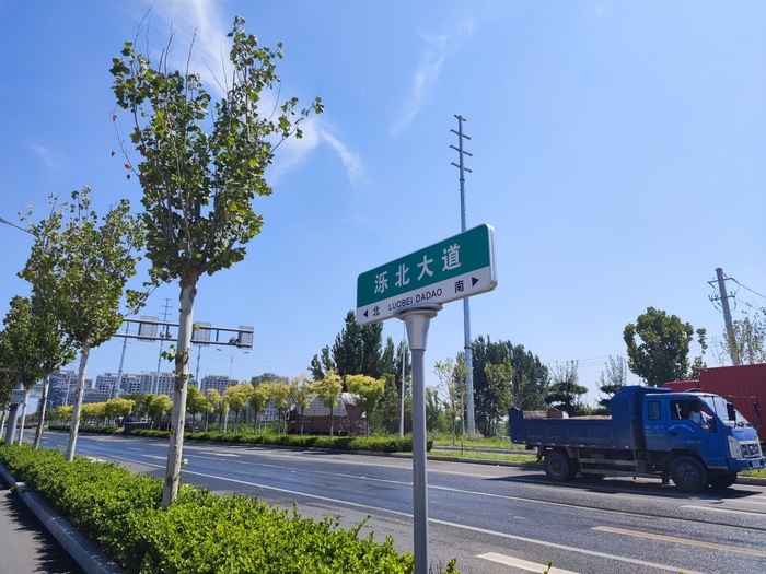 起步区泺北大道通车！周边居民途经黄河可节省20分钟以上