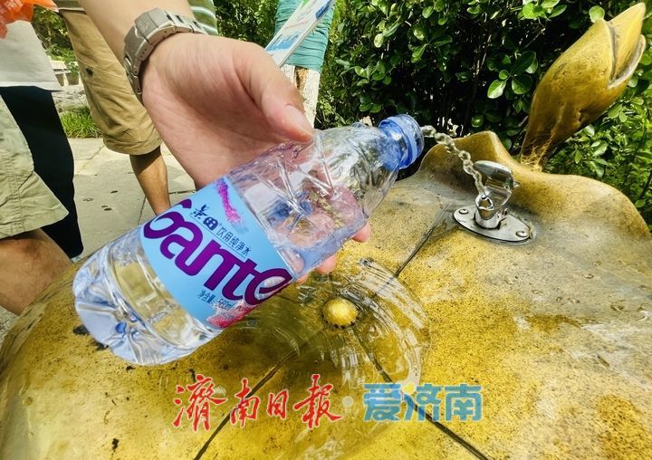 一年四季 泉在济南丨戏水亲泉寻清凉