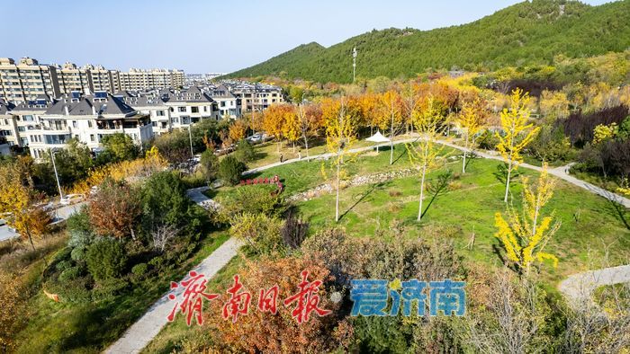 登高赏秋正当时！围子山郊野公园“绚烂”出圈，转身直达“枫”景线