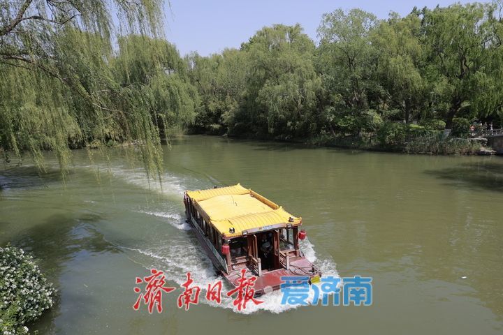 一年四季 泉在济南｜大明湖上演“千船竞发”盛景 五一文旅热潮澎湃涌动