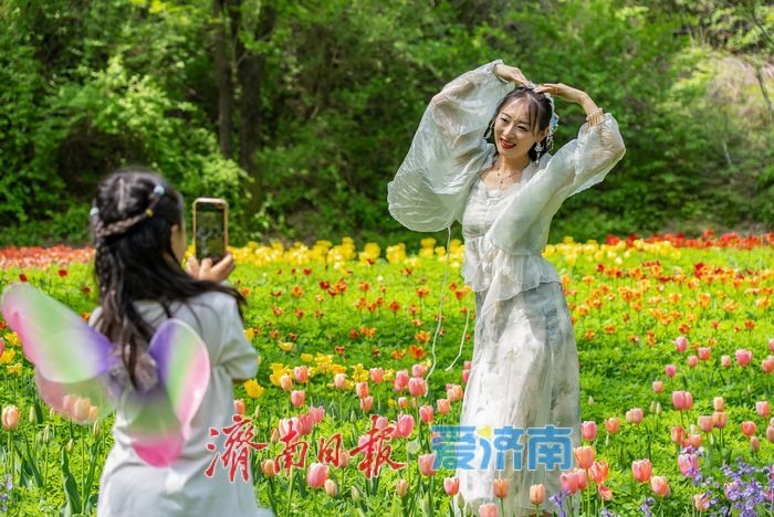 亮相央视获点赞，济南红叶谷邀您打卡花海盛宴
