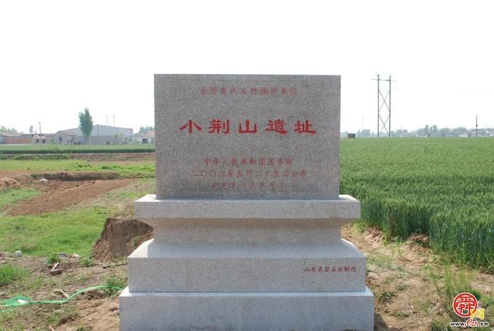 章丘区：来自8000年前的“猪猪快递”正在派送中