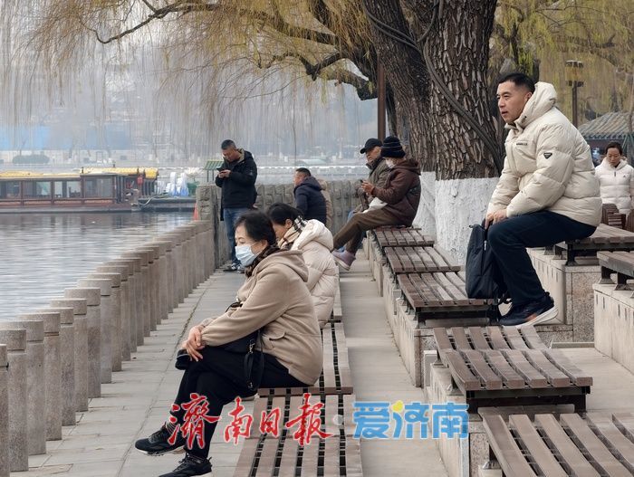 白骨顶鸡“组团”栖息越冬，见证泉城生态之美