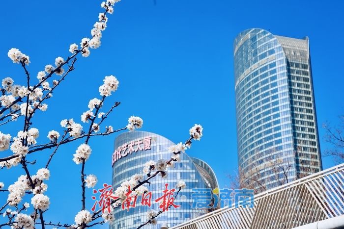 春日限定！腊山河公园柳芽萌动杏花盛放