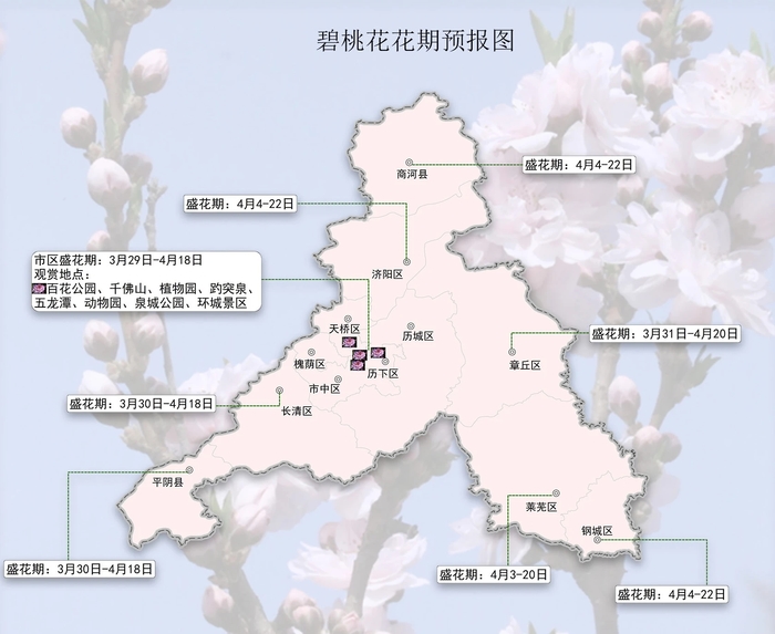 攻略速存→济南春日赏花地图更新！桃花樱花梨花花期来了