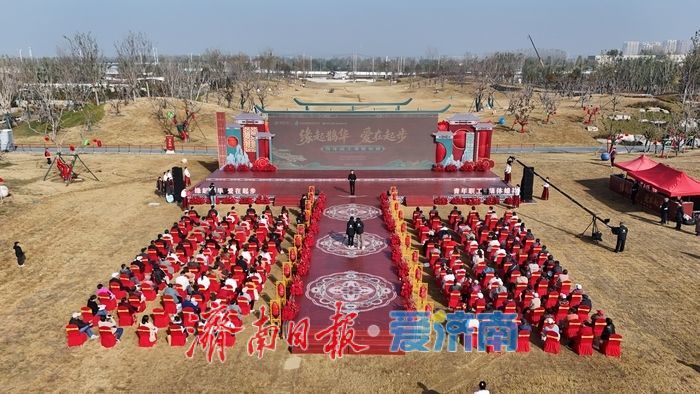 缘起鹊华 爱在起步 济南起步区青年职工集体婚礼浪漫启幕