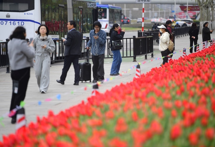 春花烂漫时，“郁”见你真好