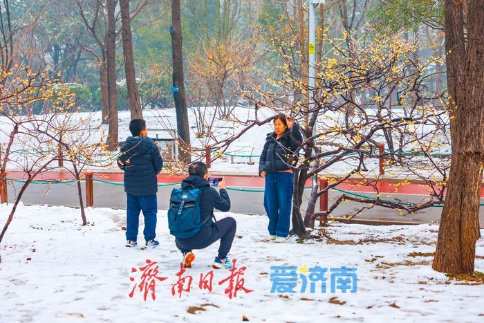 雪落泉城春意闹 新年盛景入画来