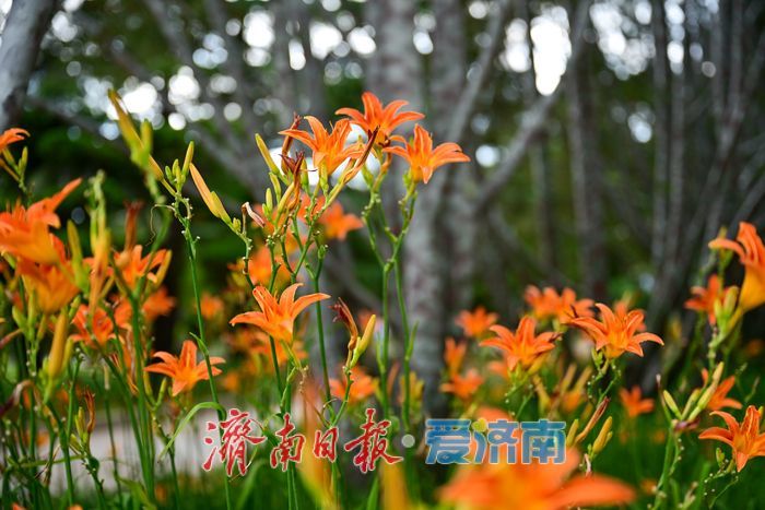 一年四季 泉在济南丨游泉城公园，静享城市“慢生活”