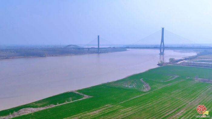 飞阅黄河大坝，邂逅“生态廊道”的春日序章｜春满槐荫·黄河长堤画卷①