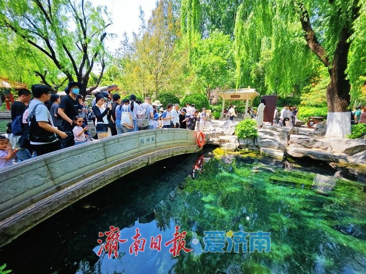 一年四季 泉在济南丨泉润园林景如画 古韵新风醉游人